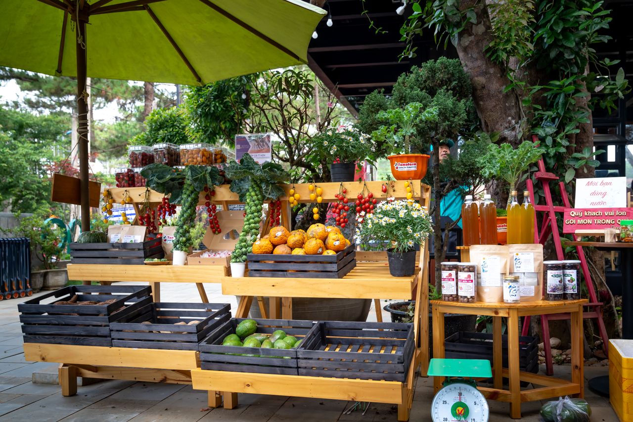 A colorful outdoor market stand showcasing fresh fruits, vegetables, and products under a green umbrella.
